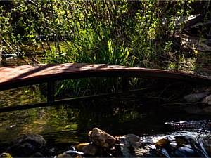 Custom Walkway Bridge 1